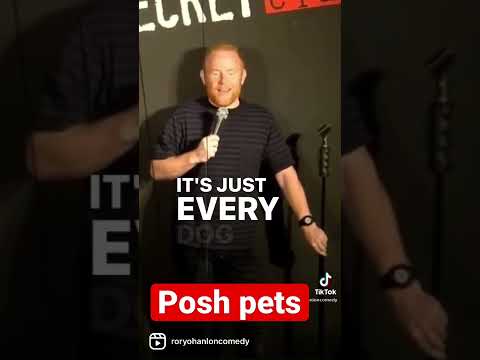 Rory o Hanlon - Posh Pets