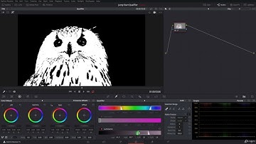 Davinci Reolve Tutorial 167  The Luma Qualifier