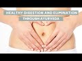 Healthy Digestion System |  Healthy Happy Gut Summit Ayurveda with Dr. Marc Halpern