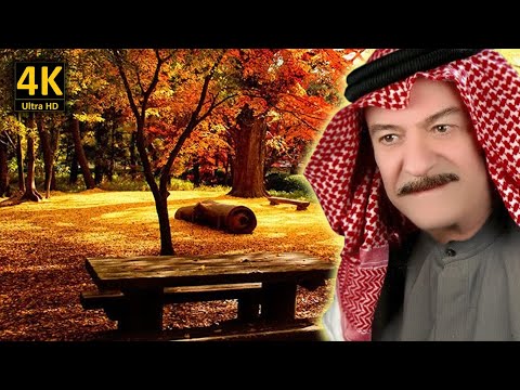 ياس خضر تايبين مع كلمات الاغنية من نوفلن البناء