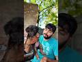 प्यार भरी देखभाल ही असली केयर है #doggielife #rambo #petlove #ytshorts