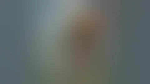 Дед Максим (soviet metal cover) Suno AI