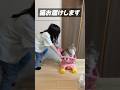 ウーバーキャッツ #shorts #猫のいる暮らし