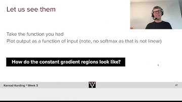 How ReLU Networks Work: Locally Linear Functions