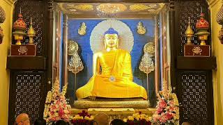Mahabodhi Temple 2023