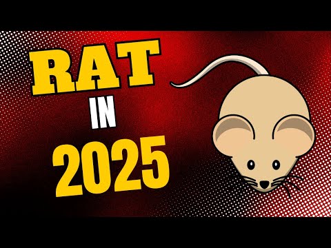    2025