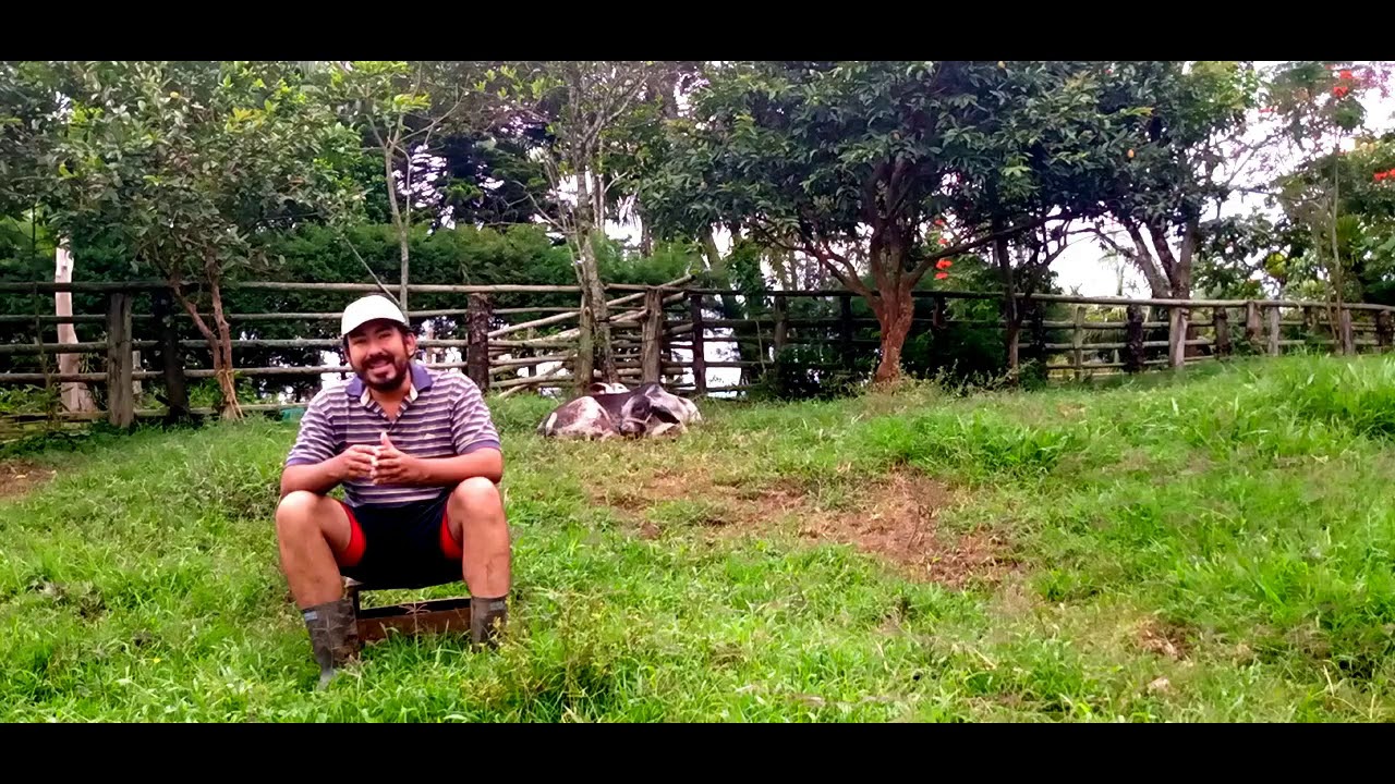 SE PUEDE ALIMENTAR LAS LOMBRICES CON ESTIERCOL FRESCO? HAY QUE PICAR LOS RESIDUOS VEGETALES?