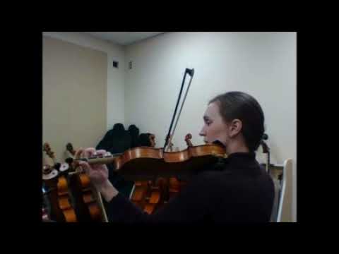 Stargazer Violin 2