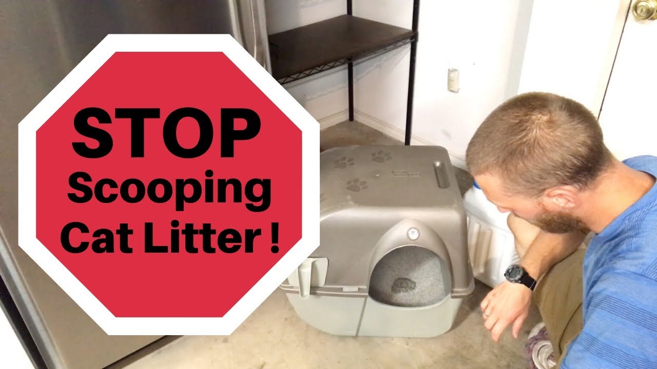 A Better Cat Litter Box! Omega Paw Self Cleaning Litter Box Review