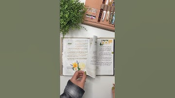 #flipthrough of my #dailyjournal in my #hobonichicousin