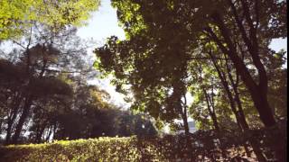 autumn 14- film footage, free download, free stock, clips, video effects