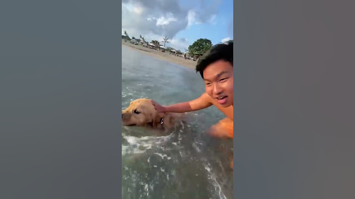 CHALLENGE BERENANG SAMA ANJING DI PANTAI BALI! 🐶🏊🏻‍♂️🌊