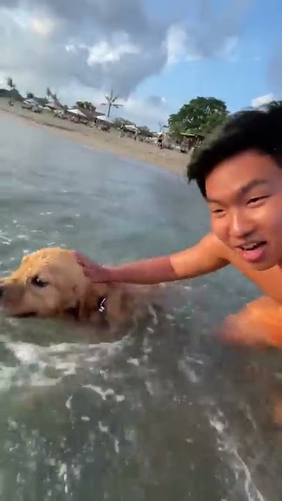 CHALLENGE BERENANG SAMA ANJING DI PANTAI BALI! 🐶🏊🏻‍♂️🌊