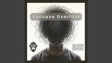 Synapse Overload