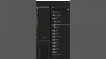 Add effects in Premiere pro (2024)  #adobepremierepro #photoshop #premierprotutorial