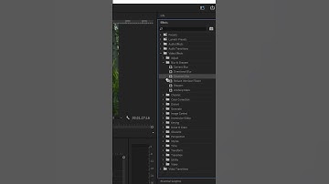 Add effects in Premiere pro (2024)  #adobepremierepro #photoshop #premierprotutorial