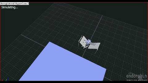 Frogsplash!!!on endorphin