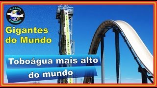 Toboágua mais alto do mundo - Verruckt water slide