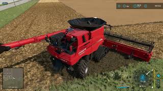 Farming Simulator 22 Без комментариев Уборка урожая канолы на комбайне Case IH Axial-Flow 9250