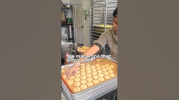 Behind the scenes of a macaron bakery #baking #macaron