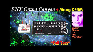 EHX Grand Canyon meets Moog DFAM Full Test Analog Drum Synth Delay FX Pedal