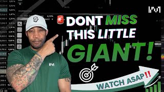 🚨DON’T MISS THIS LITTLE GIANT!