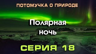 Потомучка о природе 18. Полярная ночь