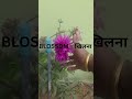 Live vocab , garden vocab #englishlanguage #ssc #education #vocabs #upsc#vocabbatch