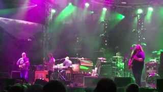 Video thumbnail of "Cease Fire - Widespread Panic, Lockn' Festival 9/12/15"