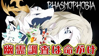 【コラボ配信】幽霊調査を今度こそやりたい兄妹たち【 #ファズモフォビア  】