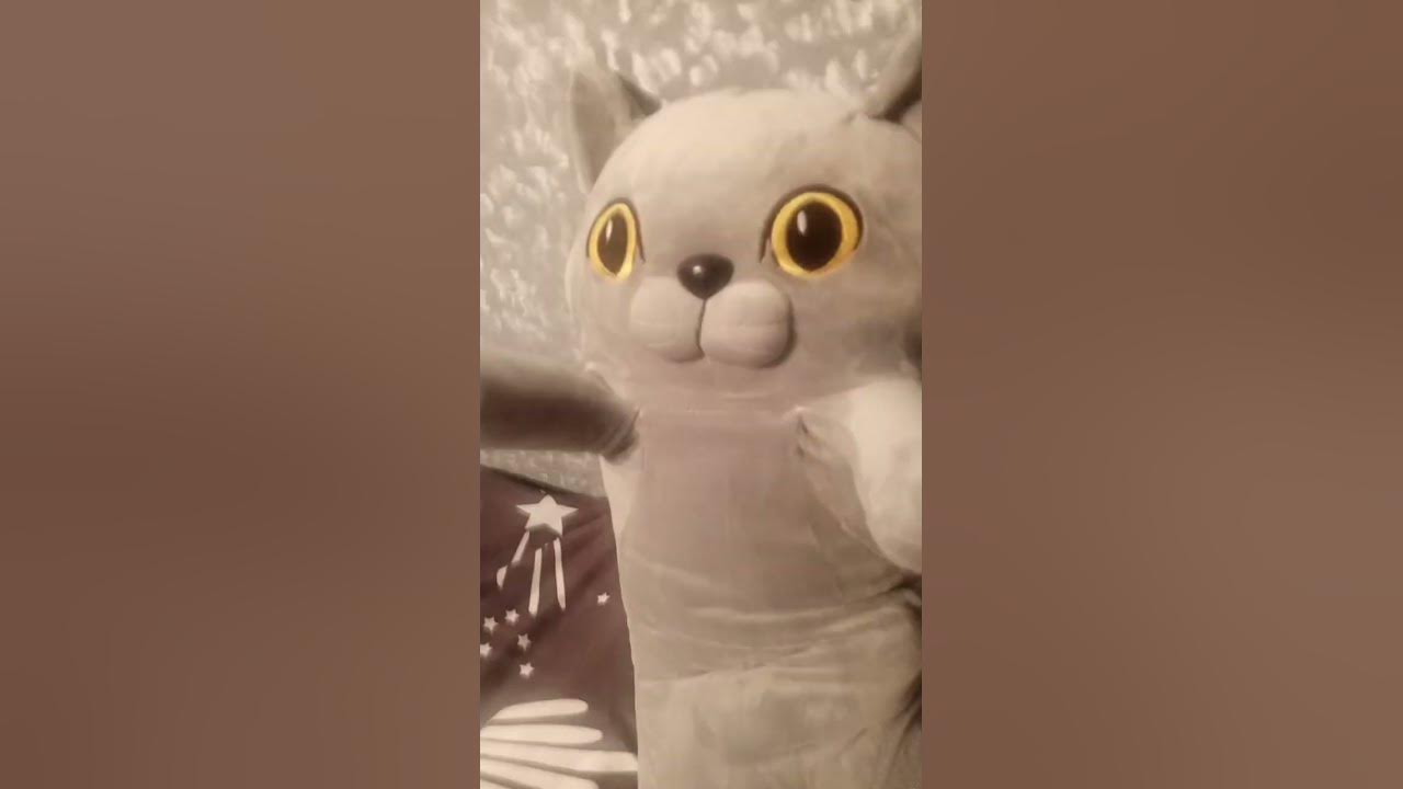 котик чипи чипи чапа чапа - YouTube