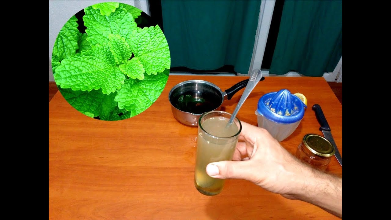 Impressive Health Benefits of Lemon Balm YouTube