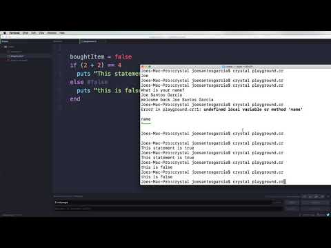 #8 Training your brain to be a developer - Booleans | Crystal Lang | #codingphase
