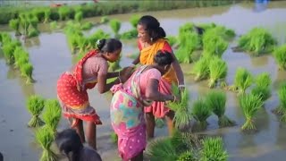 Santali film bad kami ll new family film