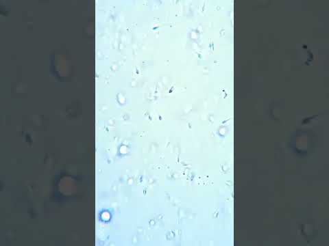 Video: Hücreler canlı sayılır mı?