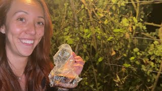 Download Lagu We Buried a Sausage in Ireland! 🇮🇪 MP3 Download Lagu We Buried a Sausage in Ireland! 🇮🇪 MP3