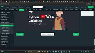 Python variables 