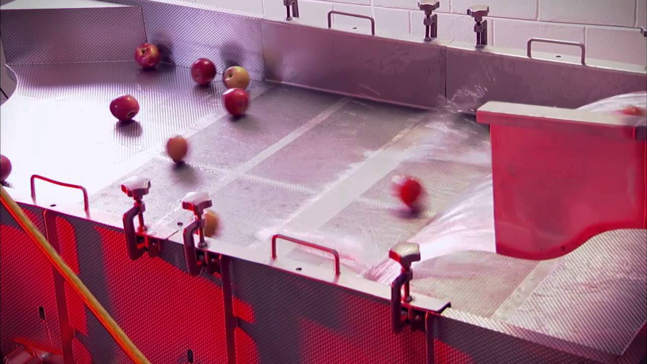 IFSH - Institute For Food Safety and Health