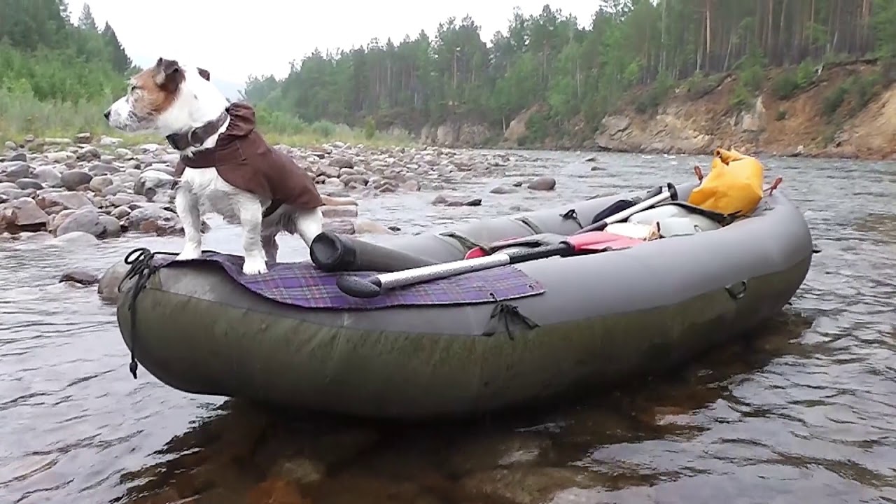 Тайга и горные реки Бурятии