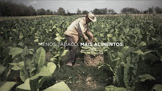 Menos tabaco, mais alimentos | Dia Mundial Sem Tabaco 2023