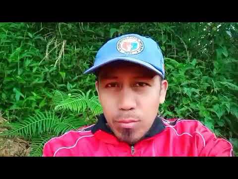 Video: Paano Suriin Ang Bilis Ng Iyong Pagta-type