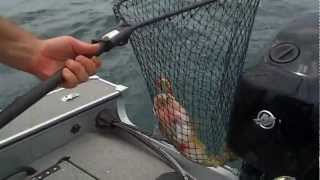 Eyceman Charters - Walleye 2