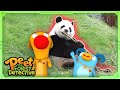 Monkey & Panda To The Rescue | Animal Stories For Kids | Peet The Forest Detective