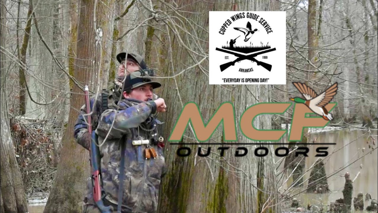 Tough Flooded Timber Hunt In NE Arkansas Cupped Wings Guide Service Tough Flooded Timber Hunt In NE Arkansas Cupped Wings Guide Service