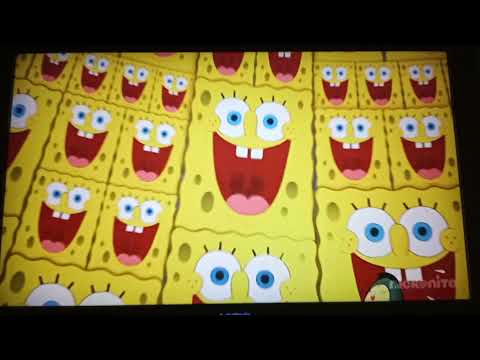 Sponge Out Of Water Secret Formula 