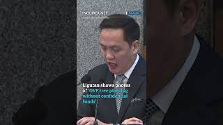Ligutan points out VP Sara tree planting activity