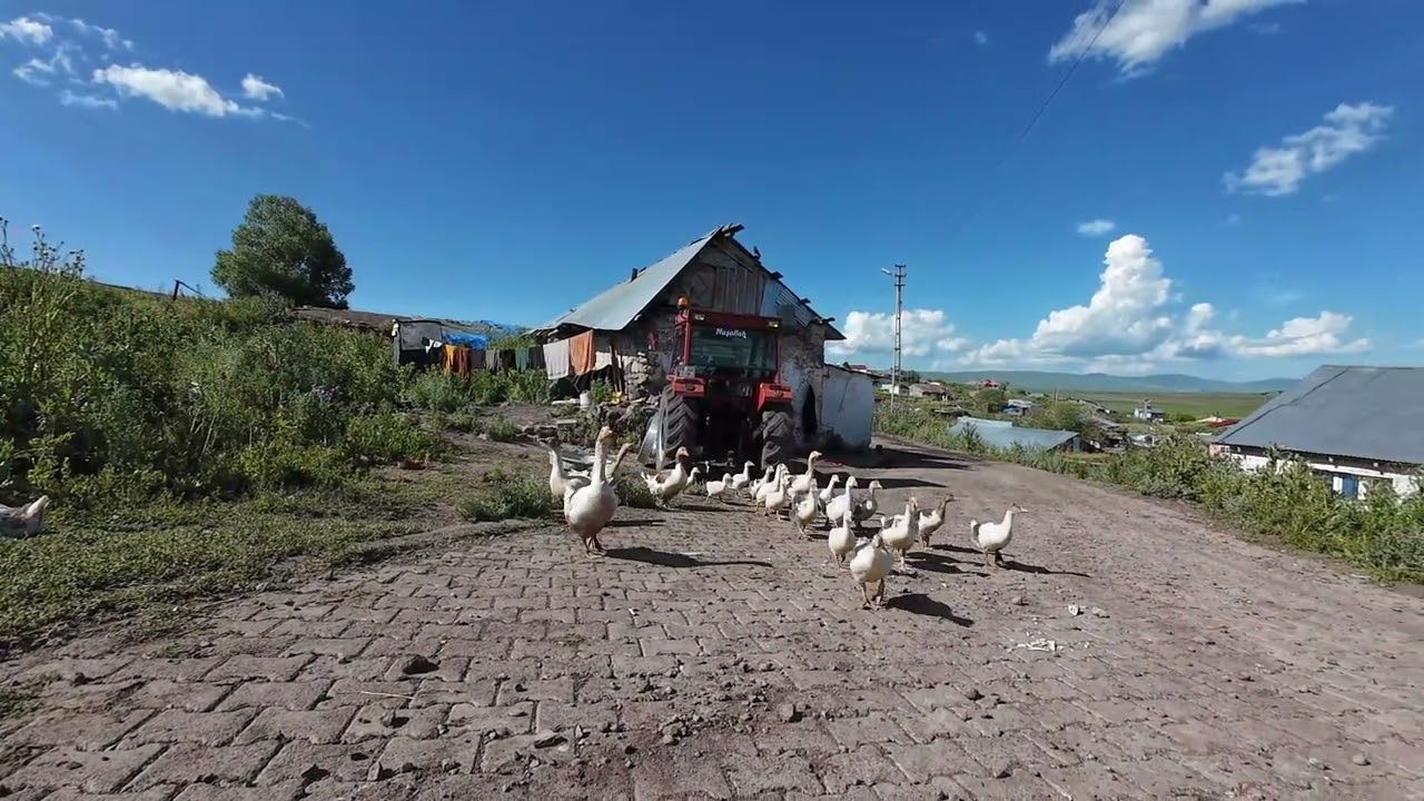 Ardahan Göle - Dereyolu Köyü
