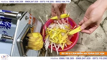 Máy Cắt Sợi, Thái Sợi, Xắt Sợi Củ Cải Trắng, Khoai Tây,...| Điện Máy 3G