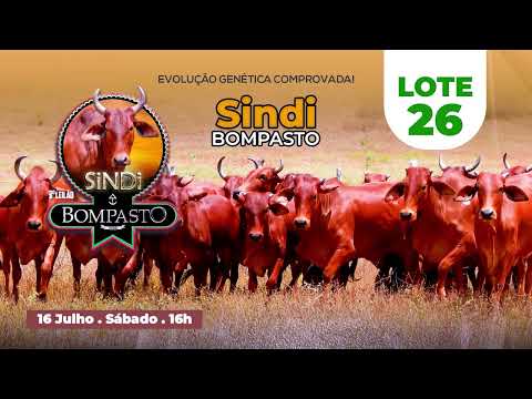 LOTE 26 - NAFTALINA BOMPASTO