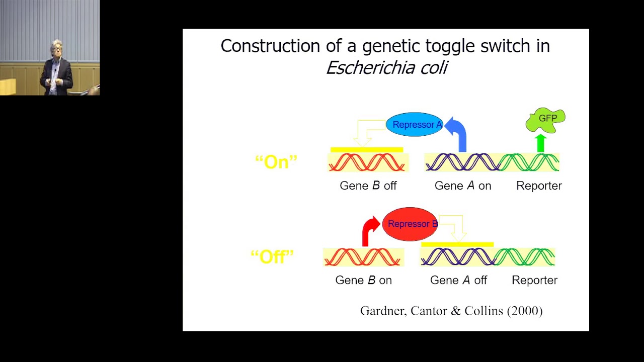 CCMB Seminar 12/06/2017 - Leon Glass, PhD